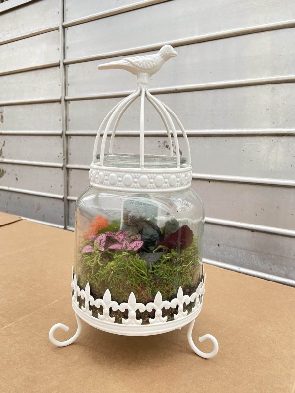 7x12 Glass Bird Cage Terrarium