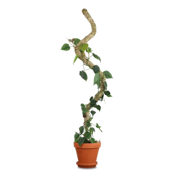 Pole Mossify Bendable Moss 54"