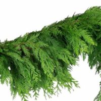 20" Cedar Garland