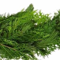 15" Mixed Garland